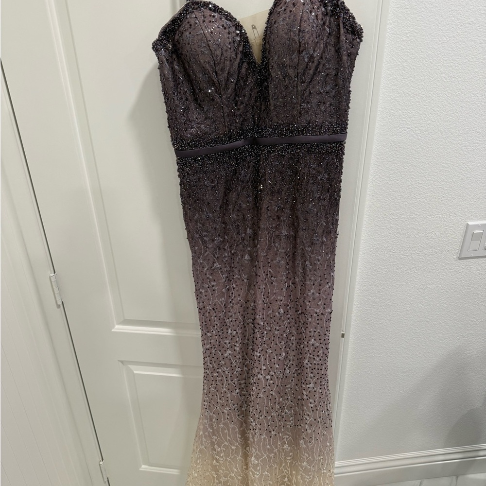 Elegant Ombre Evening Gown